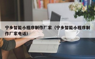莱州宁乡智能小程序制作厂家（宁乡智能小程序制作厂家电话）